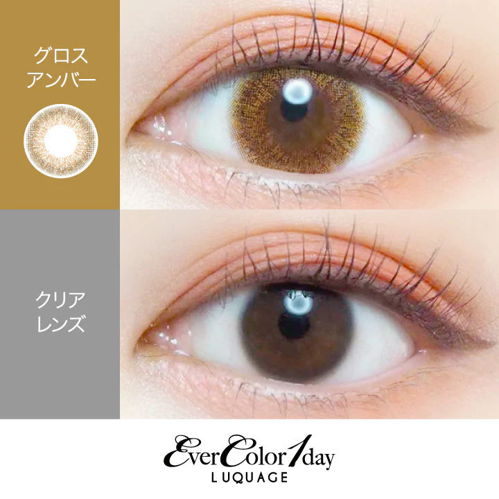 EverColor 1 Day LUQUAGE Gloss Amber Japanese color lenses (10p) - Image 2