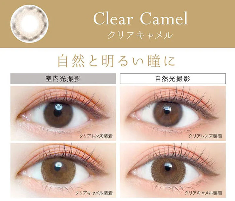 EverColor 1 Day Natural Clear Camel Circle Lenses (20p) - Image 4