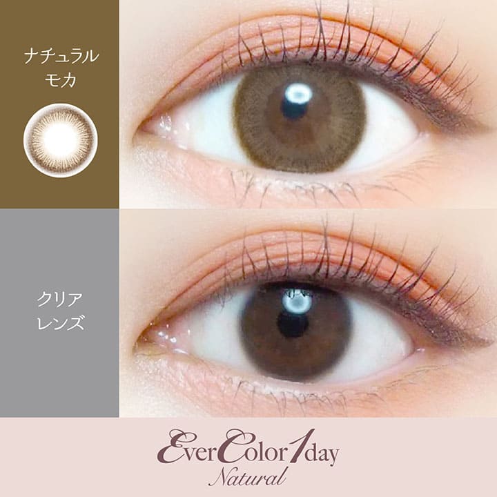 EverColor 1 Day Natural Mocha Circle Lenses (20p) - Image 2