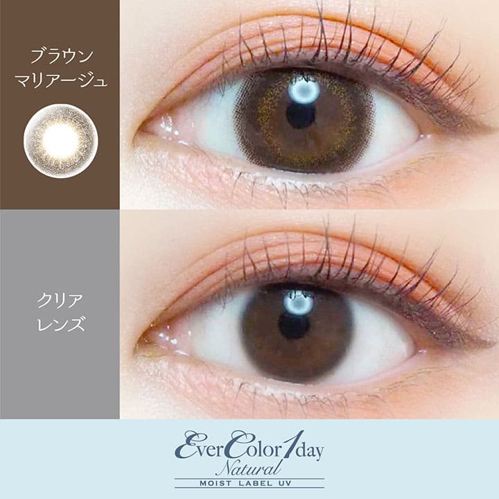 EverColor 1 Day Natural Moist Label Brown Mariage (20p) - Image 2