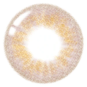 Lenstown 247 With Me 1-Day Brown (10 Pack) - Image 2