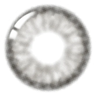 Lenstown ItsWater Silver (1-Month / 2 Pack) - Image 2