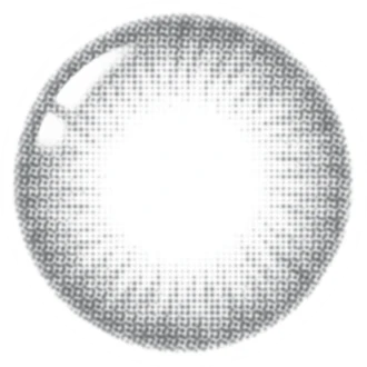Lenstown 1-Day Lighly Modern Gray (20 Pack) - Image 2