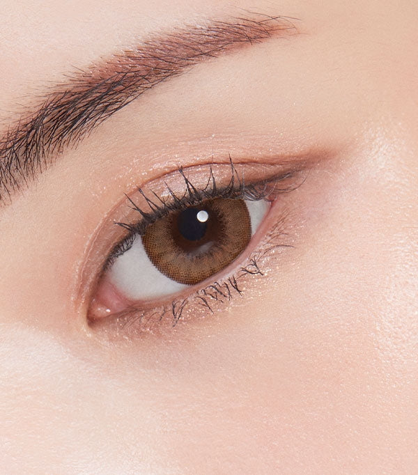 OLENS Chandelier Brown 6 months disposable Contact Lenses (1 Lens) - Image 2