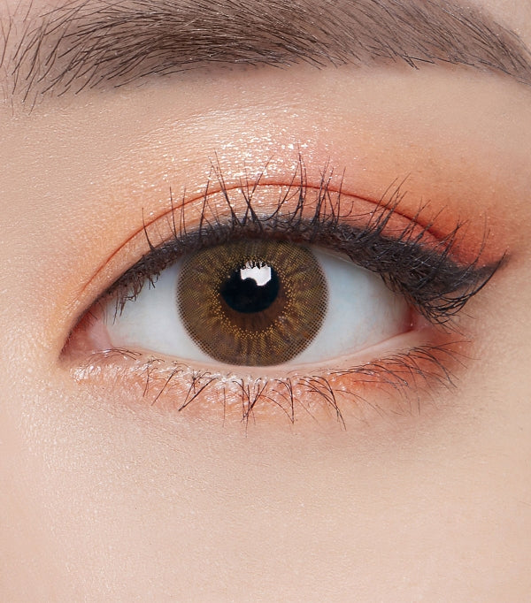 OLENS Plie Brown 6 months disposable Colored Contacts (1 Lens) - Image 2