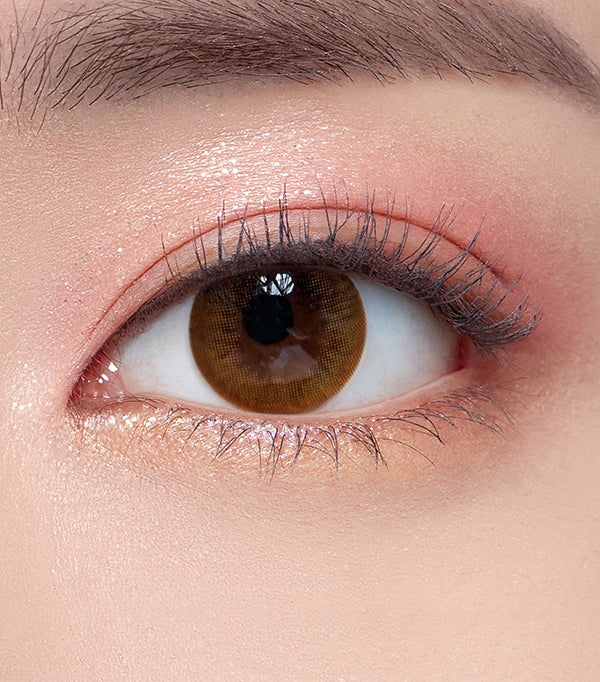 OLENS Polla Brown 6 months disposable Contact Lenses (1 Lens) - Image 2